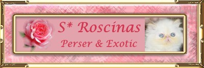 Roscinas